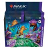 Les friches d'Eldraine - Boîte de Boosters Collector (FR)