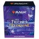 Les friches d'Eldraine - Pack d'Avant Première et 2 Boosters d'Extension (FR)