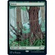 Secret Lair Drop Series - Special Guest: Kozyndan: The Lands - Foil Edition (EN)