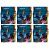 Ravnica Remastered - 6 Collector Booster Boxes (EN)