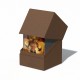 Ultimate Guard - Deck Case - Return To Earth Boulder 100+ RTE 100 - Brown