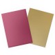 Dragon Shield - 100 Protège-cartes Standard - Matte Dual Sleeves - 25th Special Edition Red Gold