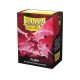 Dragon Shield - 100 Protège-cartes Standard - Matte Dual Sleeves - Fury