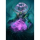 Abyss Boite Bleue (FR)