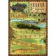 Caylus (f)