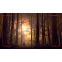 Playmat
